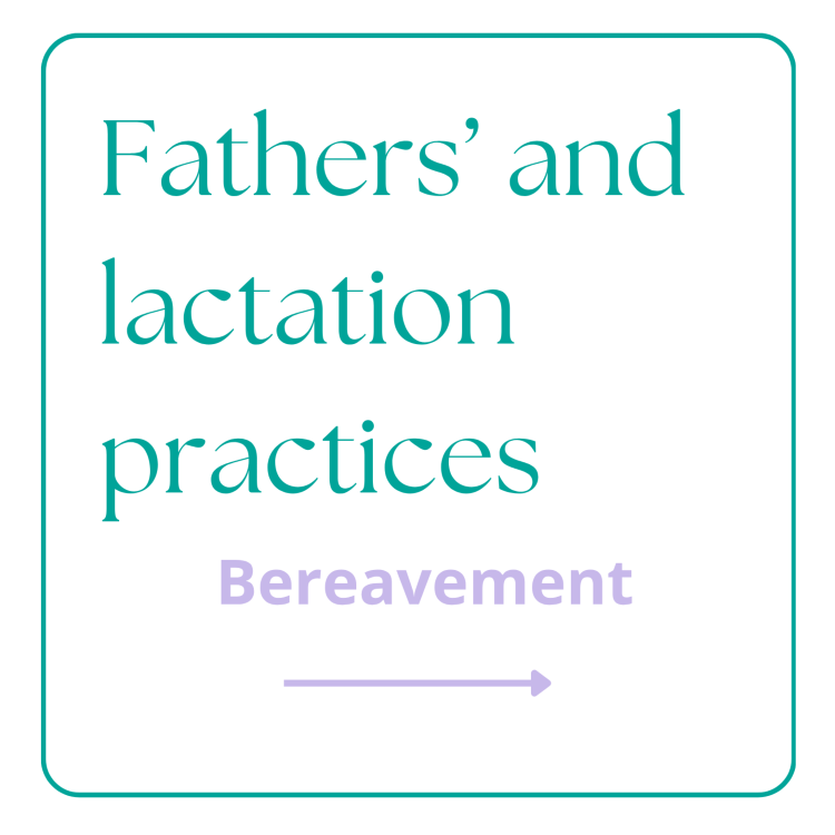 fathers and lactation practices